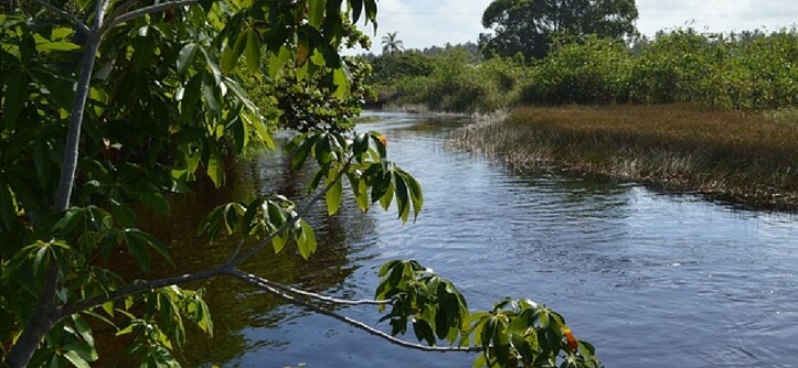 Imbassaí Bahia