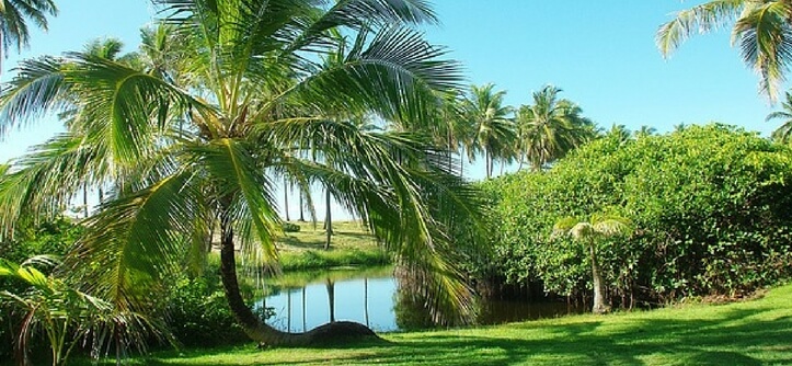 Costa do Sauípe Bahia
