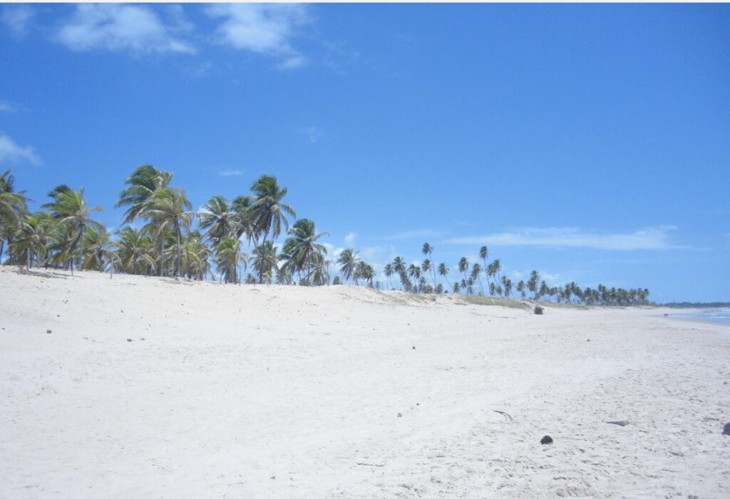 Praia de Santo Antônio Bahia